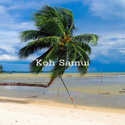 10 Places to visit<br>in Koh Samui