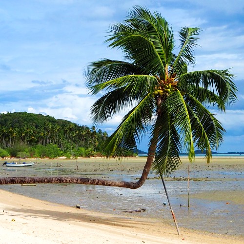 Tongkrut Beach